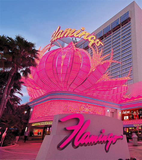 enzo casino|flamingo hotel las vegas official site.